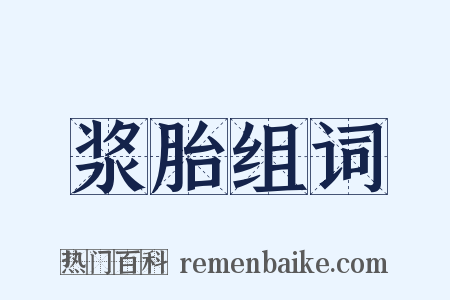 浆胎组词是什么意思的图片